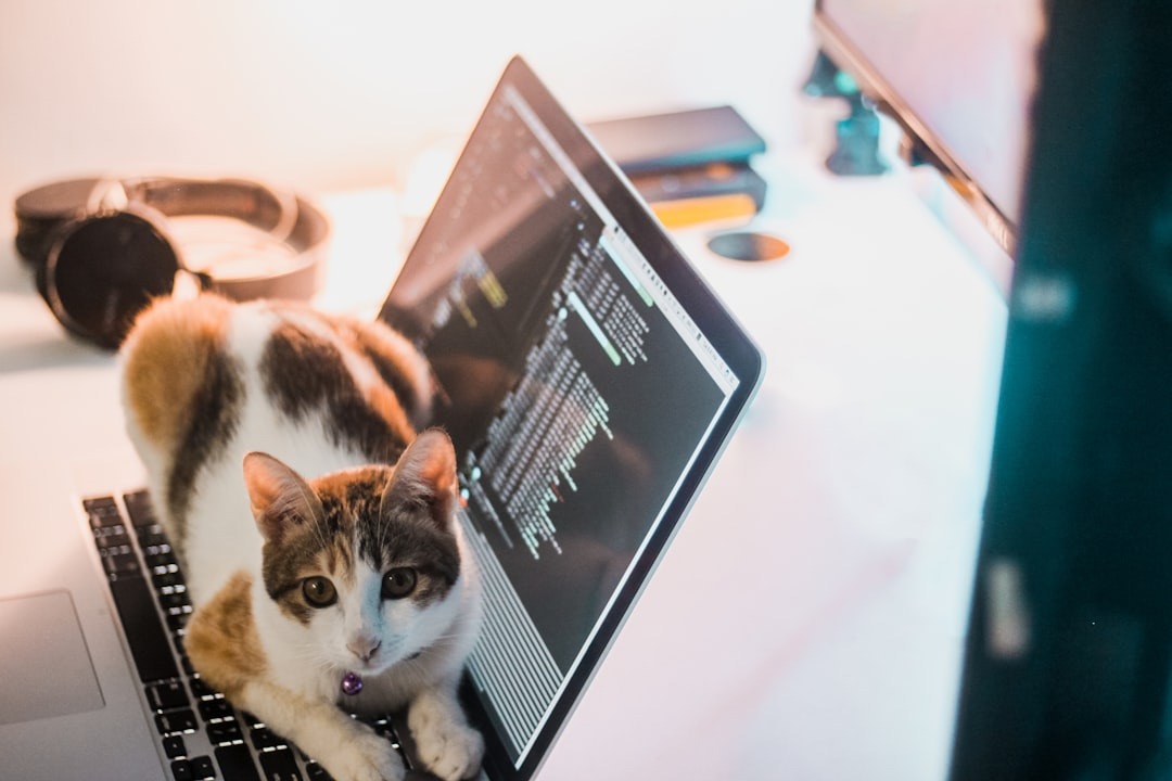 Why Freelance Coding is the Ultimate Side Hustle (And How to Start Today) 8 Future Trends in Freelance Coding